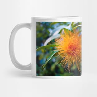 Orange Ohia 2 Mug